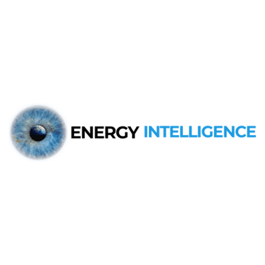 Energy Intelligence Logo
